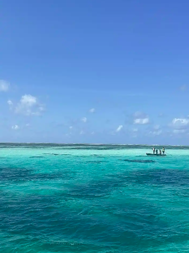 Kenya Safari: i colori dell'Africa dallo Tsavo Est al mare di Malindi – Mombasa